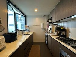 RiverParc Residence (D19), Condominium #498690691